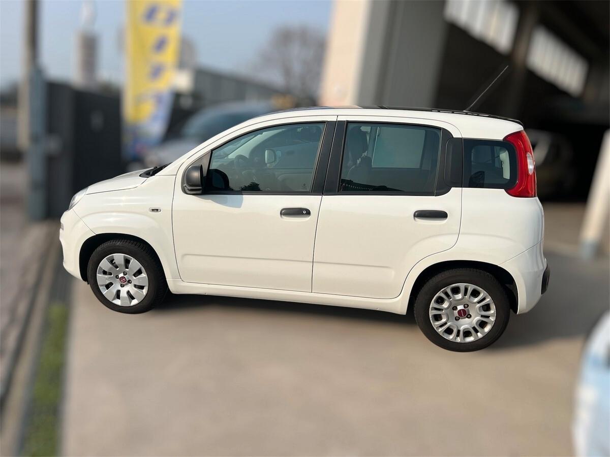 Fiat Panda 1.2 Dynamic OK NEOPATENTATI