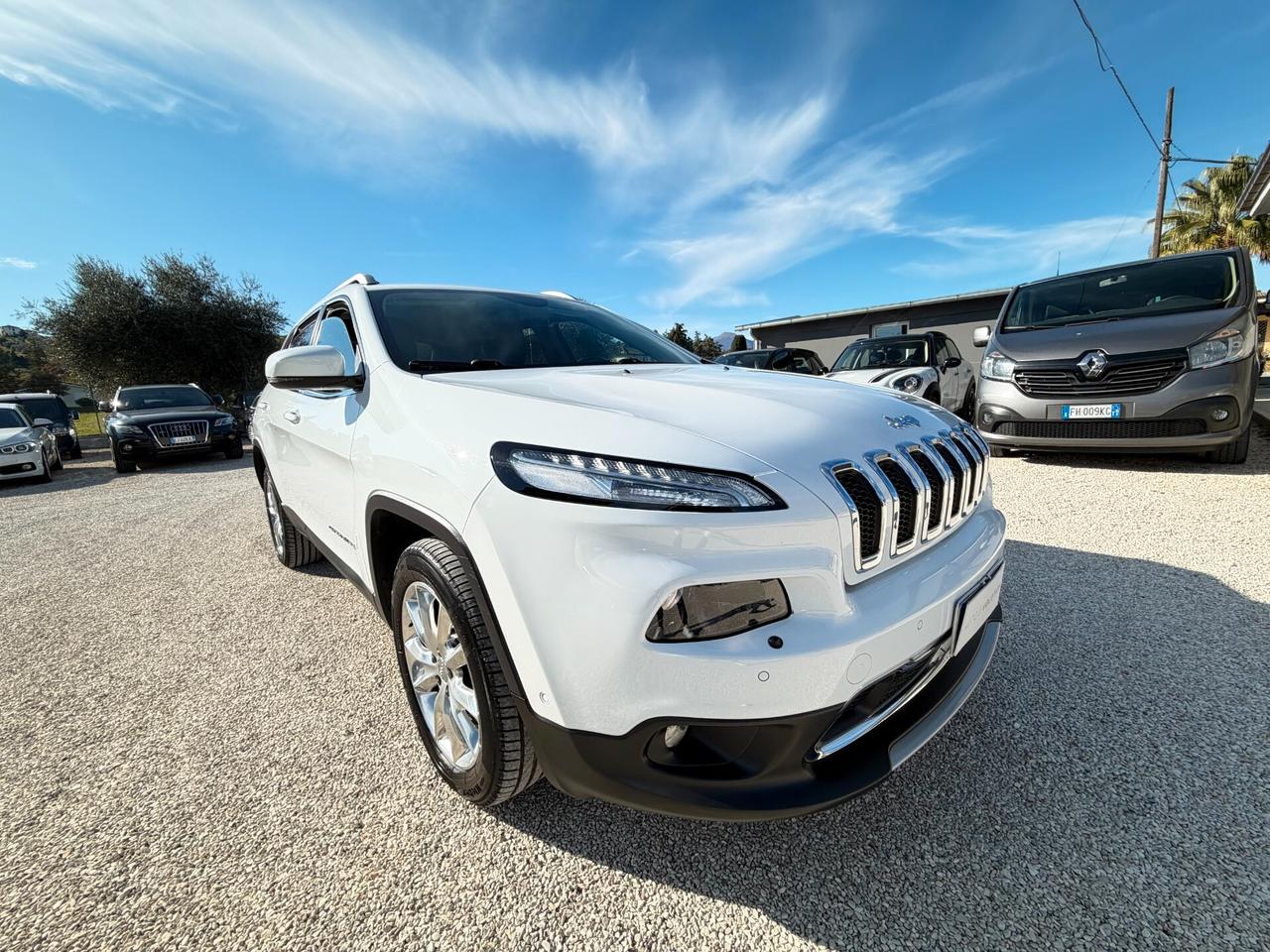 Jeep Cherokee 2.0 Mjt II 170CV 4WD 134.859 km unico proprietario