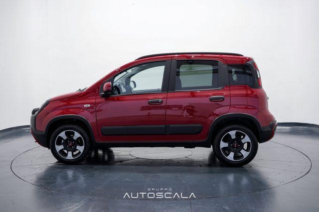 FIAT Panda Cross 1.0 FireFly S&S Hybrid MY24