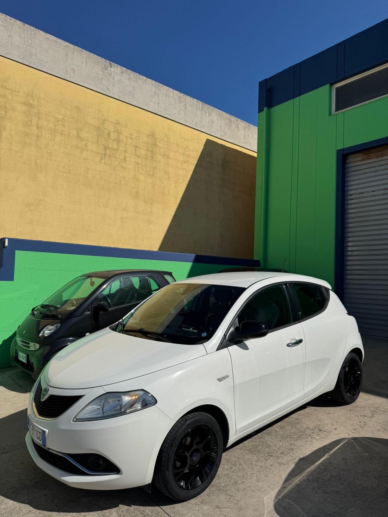 Lancia Ypsilon 1.3 MJT 16V 95 CV 5 porte S&S Platinum
