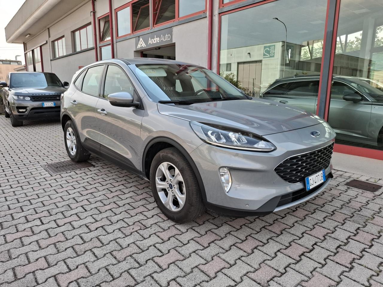 Ford Kuga 1.5 EcoBlue 120 CV aut. 2WD Titanium Business