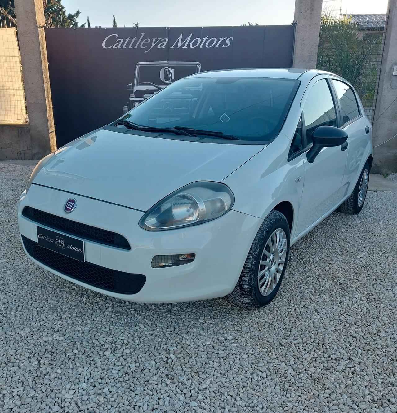 Fiat Punto 1.3 MJT II S&S 85 CV 5 porte Street