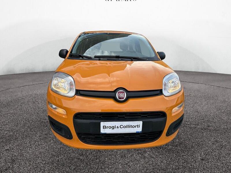 FIAT Panda 1.0 firefly hybrid City Life s&s 70cv