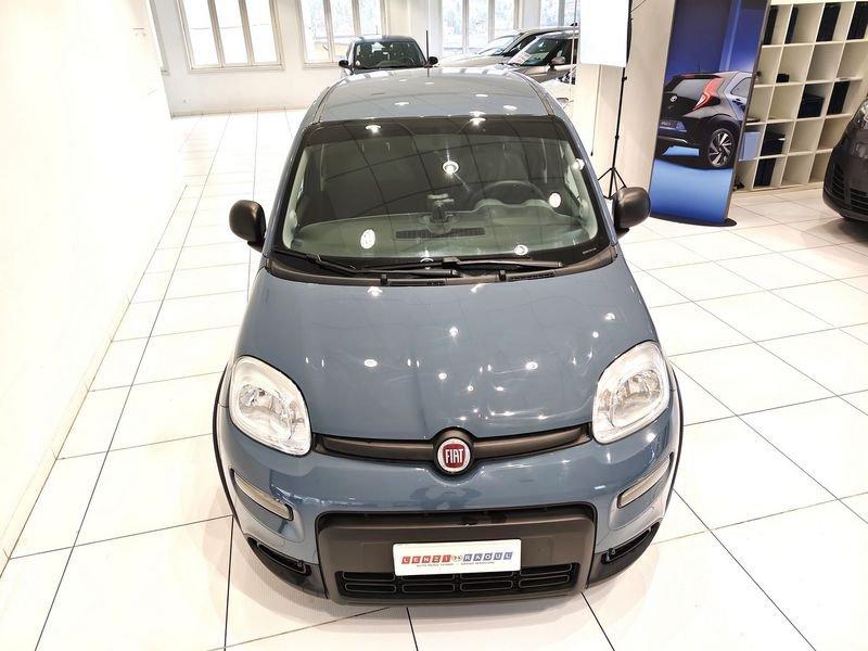 FIAT Panda Panda 1.0 firefly hybrid City Life s&s 70cv*5 POSTI*