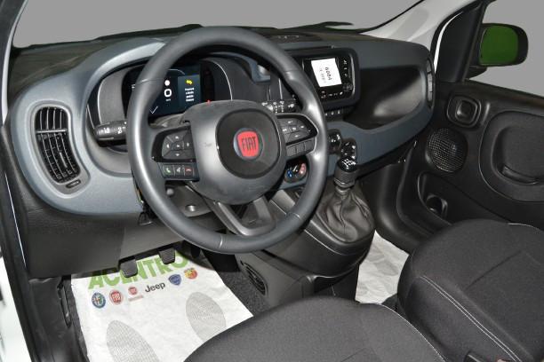 FIAT PANDA - PANDA 1.0 70CV HYBRID ICON