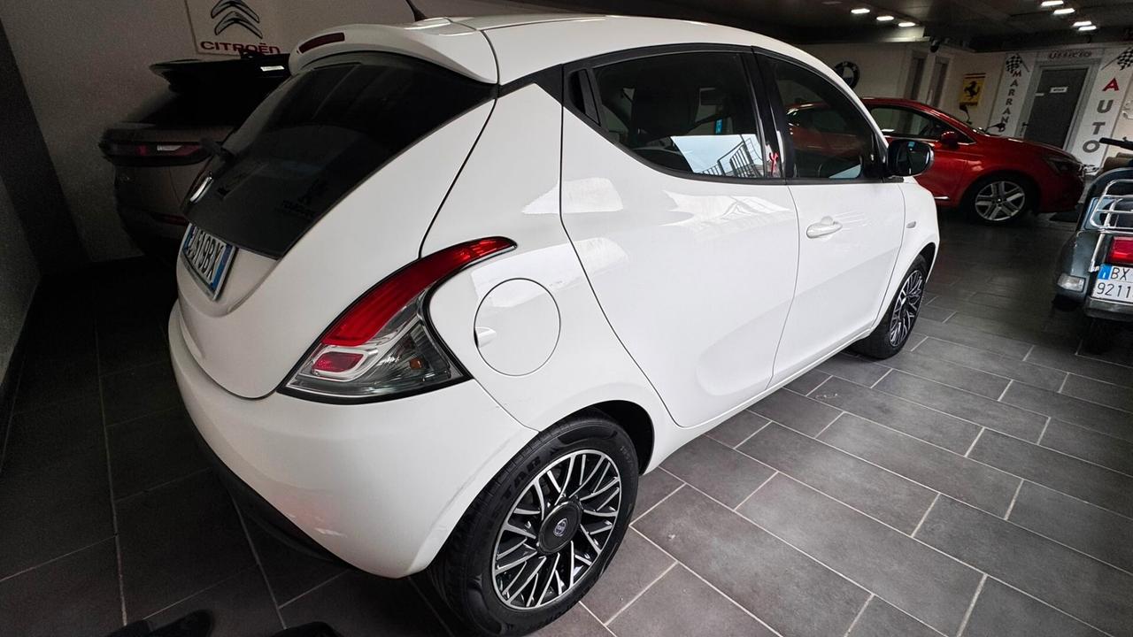 Lancia Ypsilon 1.2 69 CV 5 porte GPL Ecochic Elle