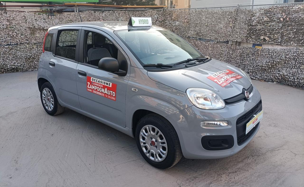 Fiat Panda 1.0 FireFly S&S Hybrid 2021 ZAMPOGNAUTO CT