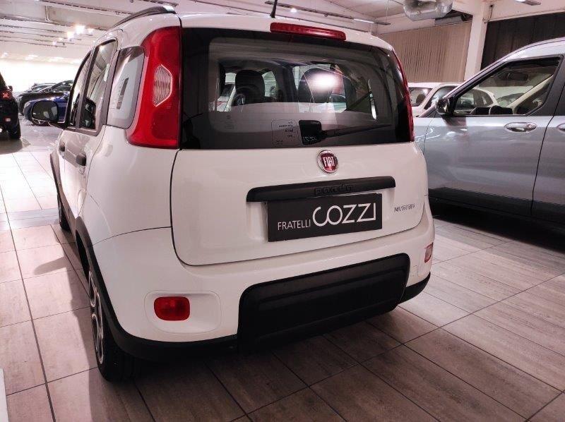 FIAT Panda 3ª serie 1.0 FireFly S&S Hybrid City Life