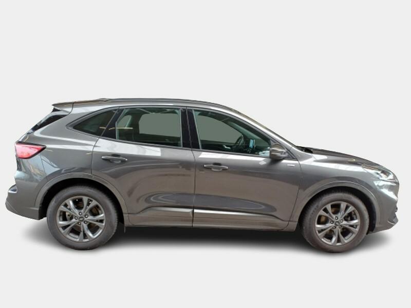 FORD KUGA 2.0 EcoBlue 120CV 2WD ST-Line Auto