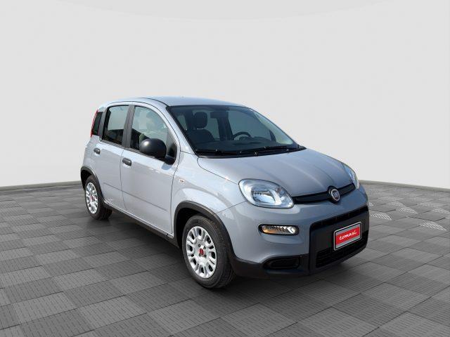 FIAT Panda Panda 1.0 FireFly Hybrid City Life