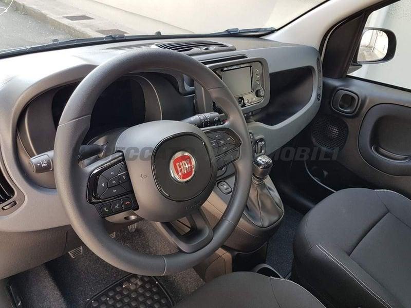 FIAT Panda Panda 1.0 firefly hybrid s&s 70cv