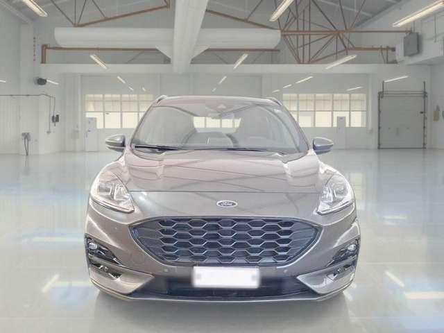 Ford Kuga Kuga 2.0 ecoblue ST-Line 2wd 120cv auto