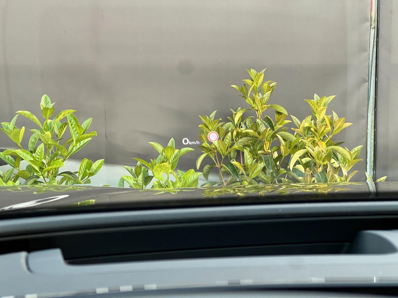 Audi Q5 SPB TDI 150 kW mHEV+ S tronic quattro line edition