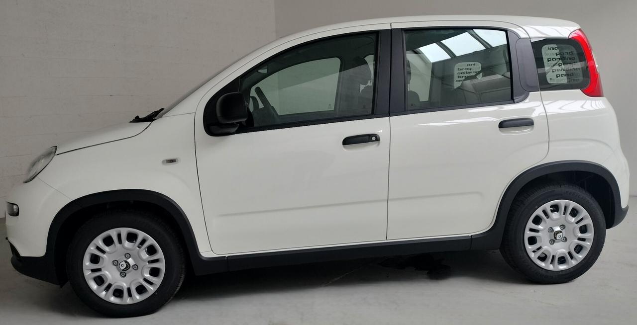 Fiat Panda PANDINA 1.0 FireFly S&S Hybrid NEOPATENTATO