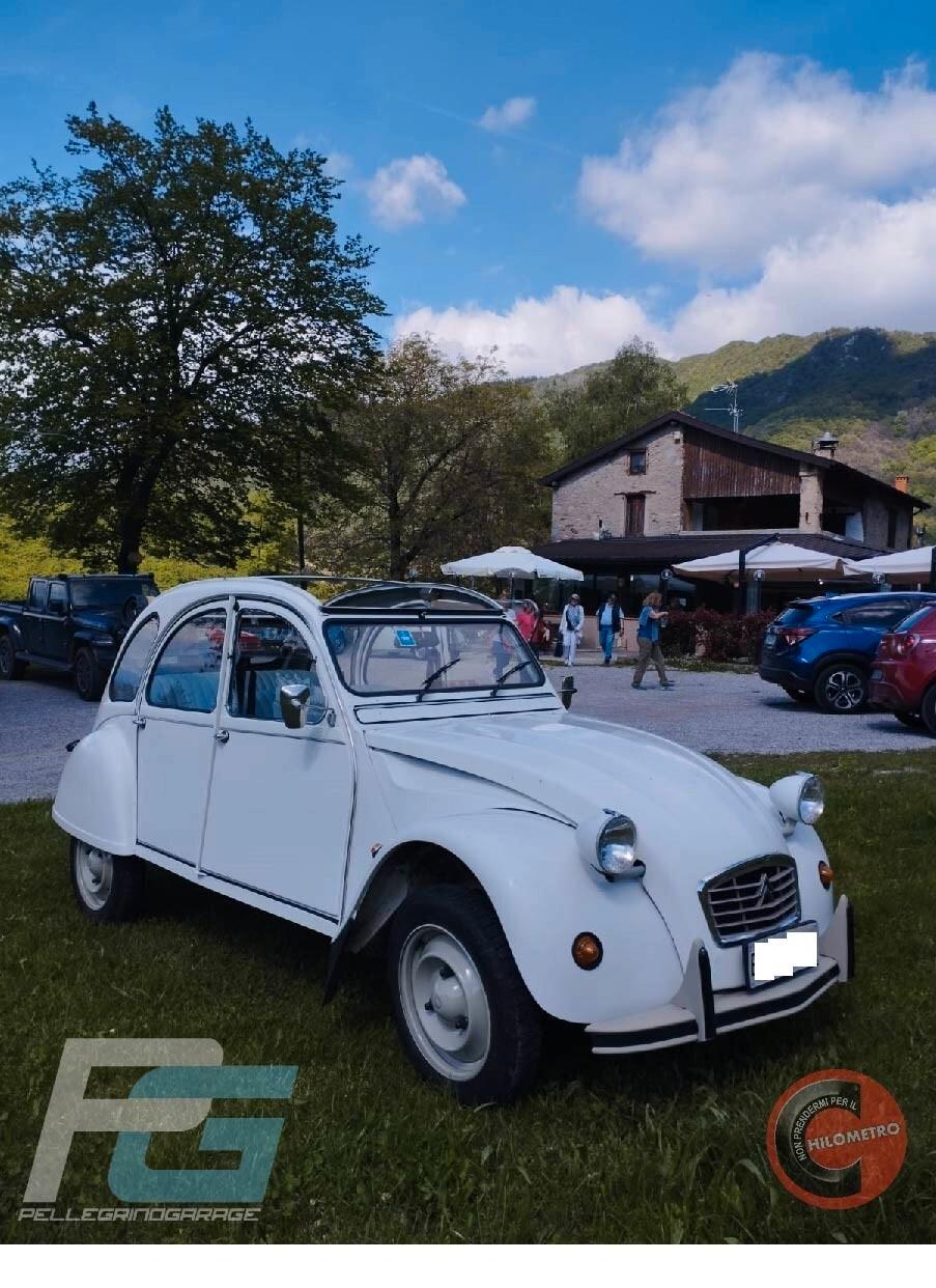 Citroen 2CV special