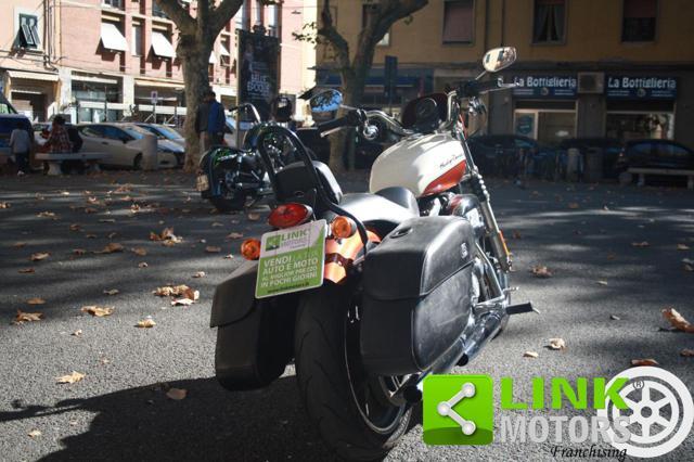 HARLEY-DAVIDSON 883L Sportster Low - XL XL2 X8F FFEALO