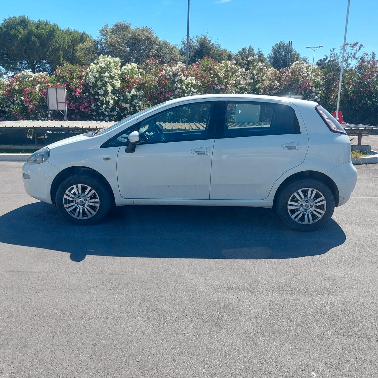 Fiat Punto 1.4 8V 5 porte Natural Power Street