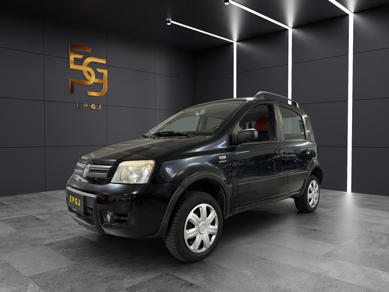 Fiat Panda 1.3 MJT 16V 4x4