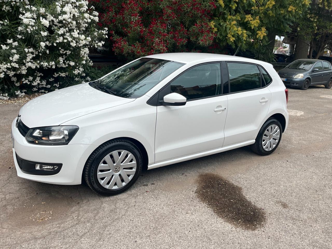 Volkswagen Polo 1.2 5 porte Trendline Perfetta