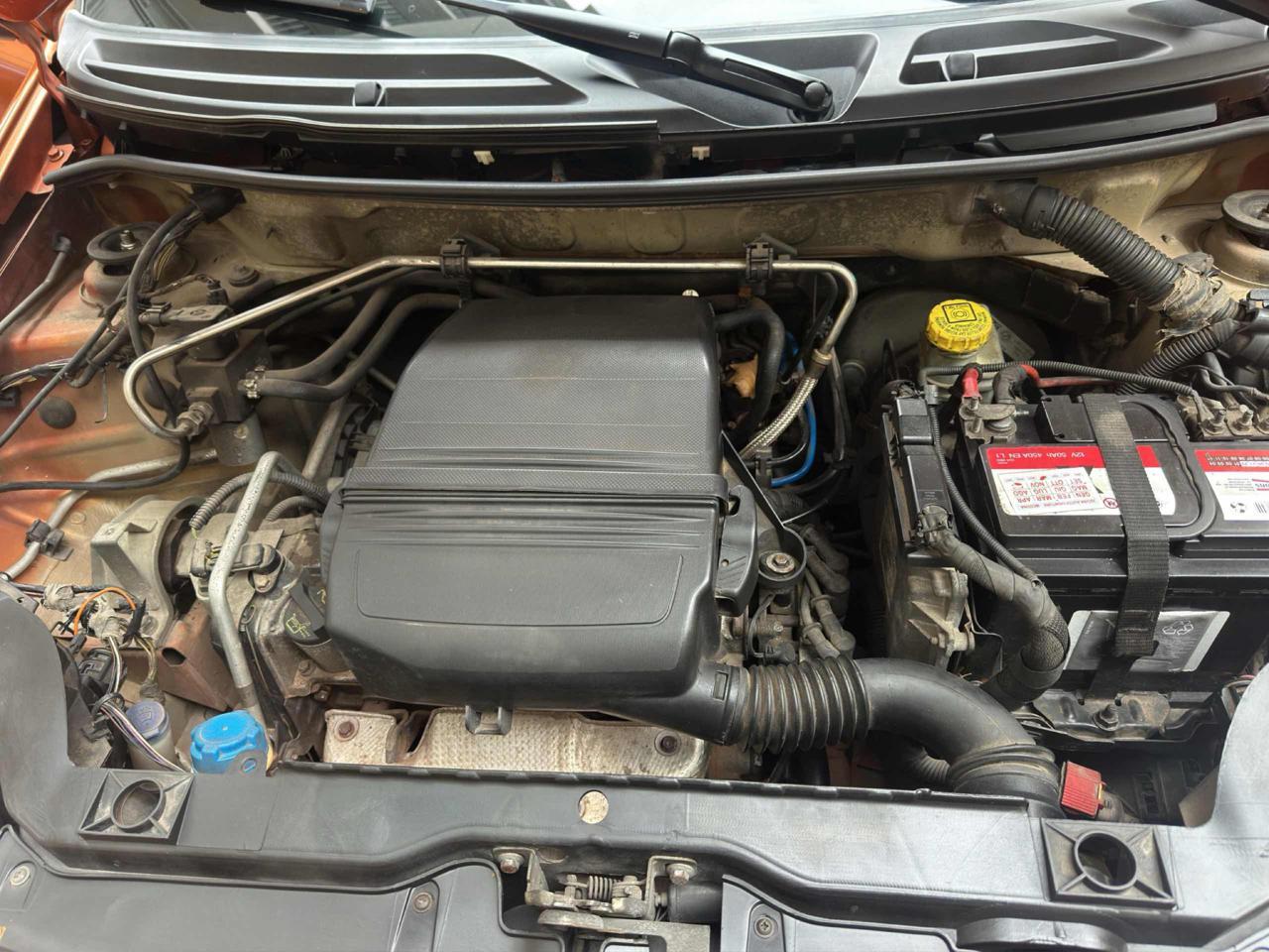 FIAT Panda 2ª serie Panda 1.2 Climbing Natural...