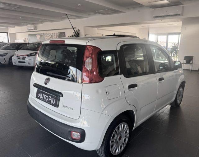 FIAT Panda 1.0 Hybrid 70 CV FireFly