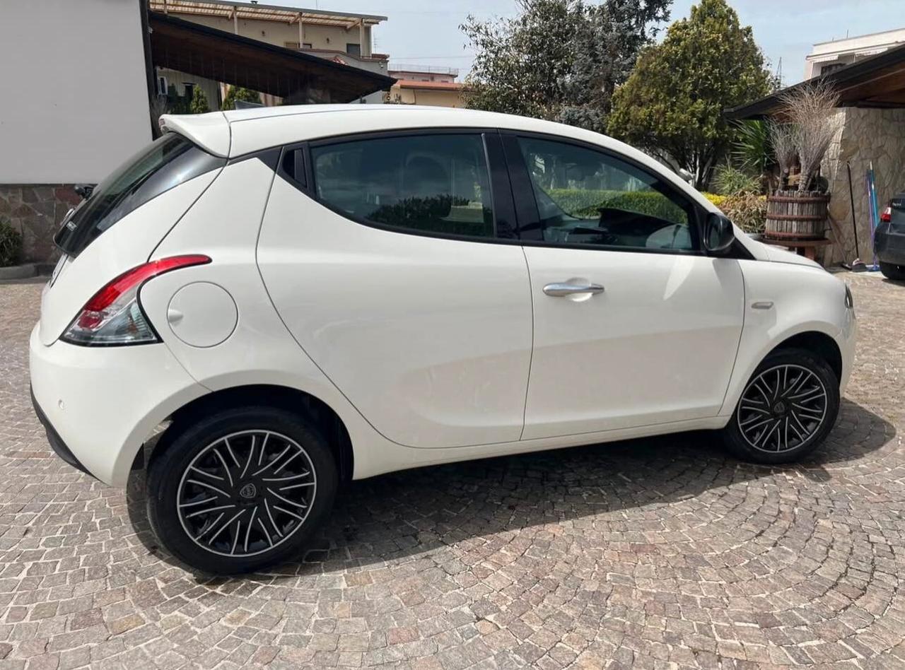 Lancia Ypsilon 1.0 FireFly 5 porte S&S Hybrid Ecochic Gold