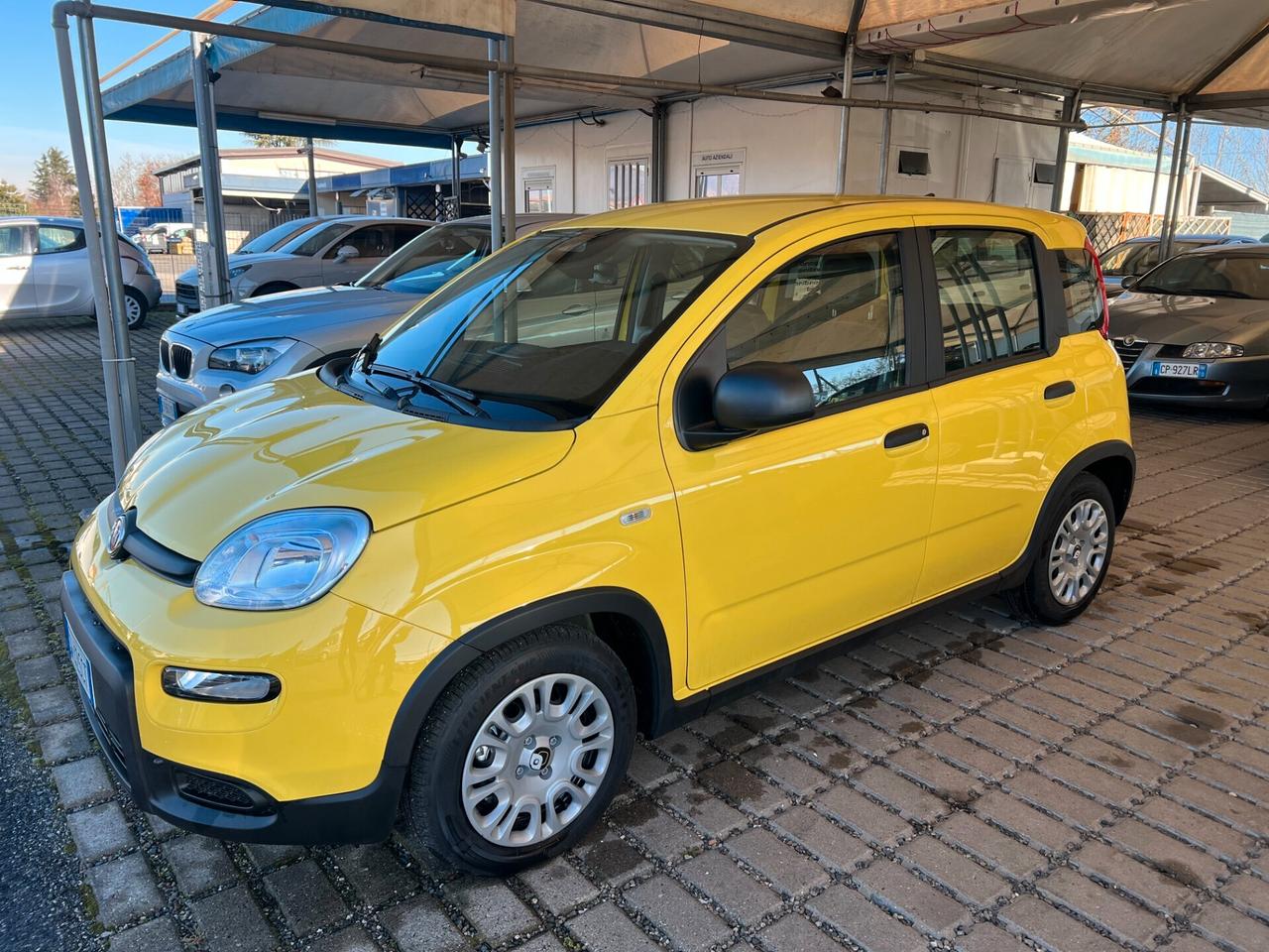 Fiat Panda 1.0 FireFly S&S Hybrid PROMO-PRONTA CONSEGNA