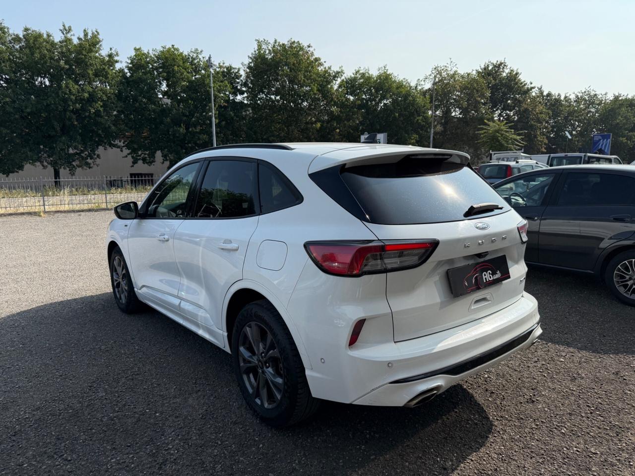 Ford Kuga 2.0 EcoBlue Hybrid 150 CV 2WD ST-Line