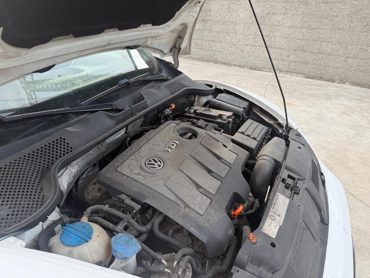 VW MAGGIOLINO DISIGN 1.6TDI EURO5B COMERCIANTI