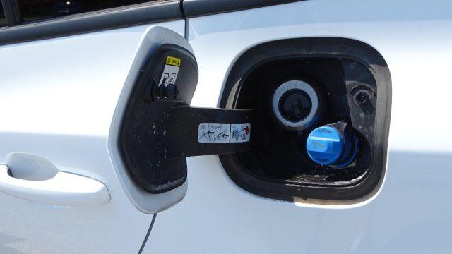 FORD Focus 1.5 EcoBlue 120cv automatico SW Business, Garanzia