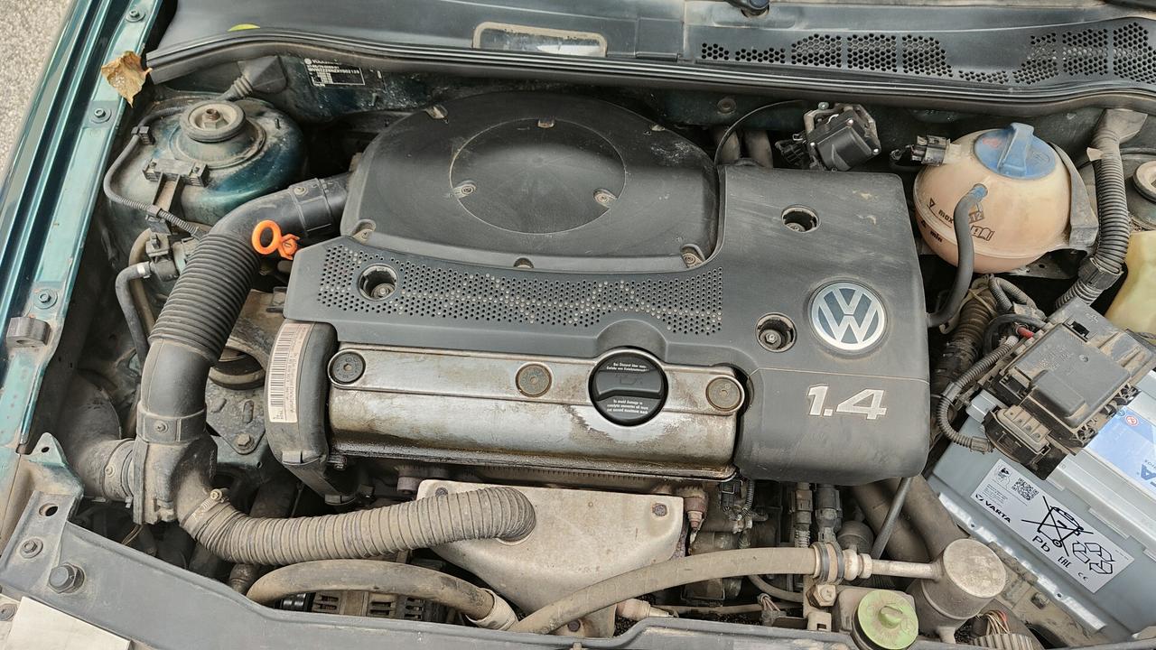 Volkswagen Polo OK NEO PATENTATI