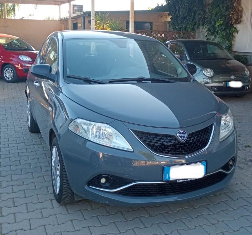 Lancia Ypsilon 1.2 69 CV 5 porte Gold
