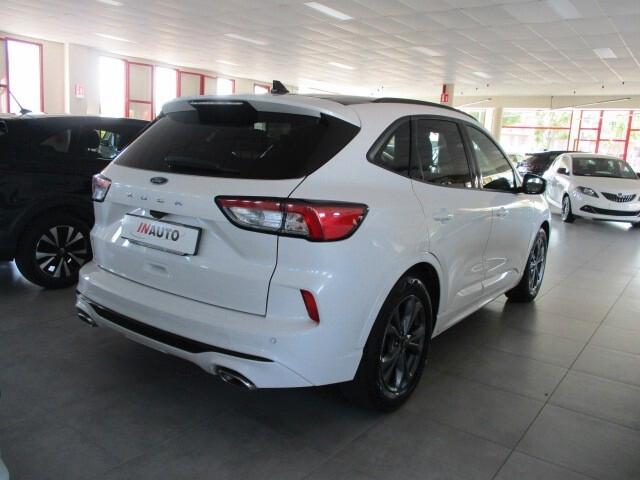 Ford Kuga 1.5 EcoBlue 120 CV aut. 2WD ST-Line X