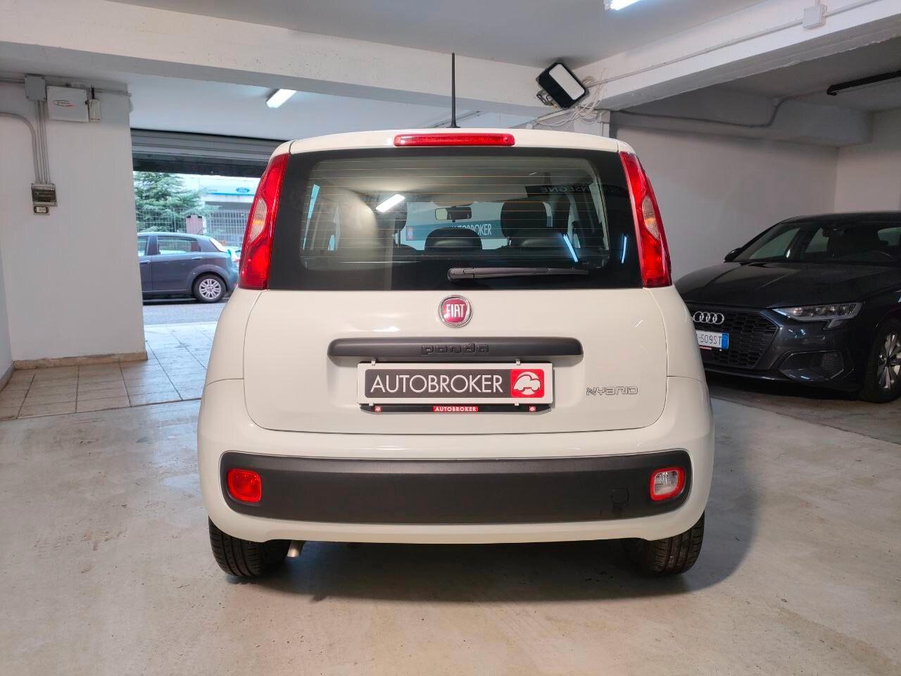FIAT Panda 3ª serie Panda 1.0 FireFly S&S Hybrid