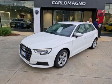 Audi A3 III 2016 Sportback Sportback 30 1.6 tdi Business 116cv my19
