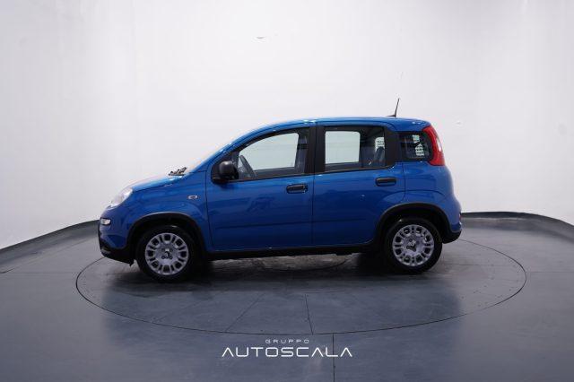 FIAT New Panda My25 1.0 FireFly S&S Hybrid #Pack City #5posto