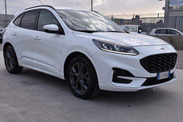 FORD Kuga 1.5 EcoBlue 120 CV 2WD ST-Line