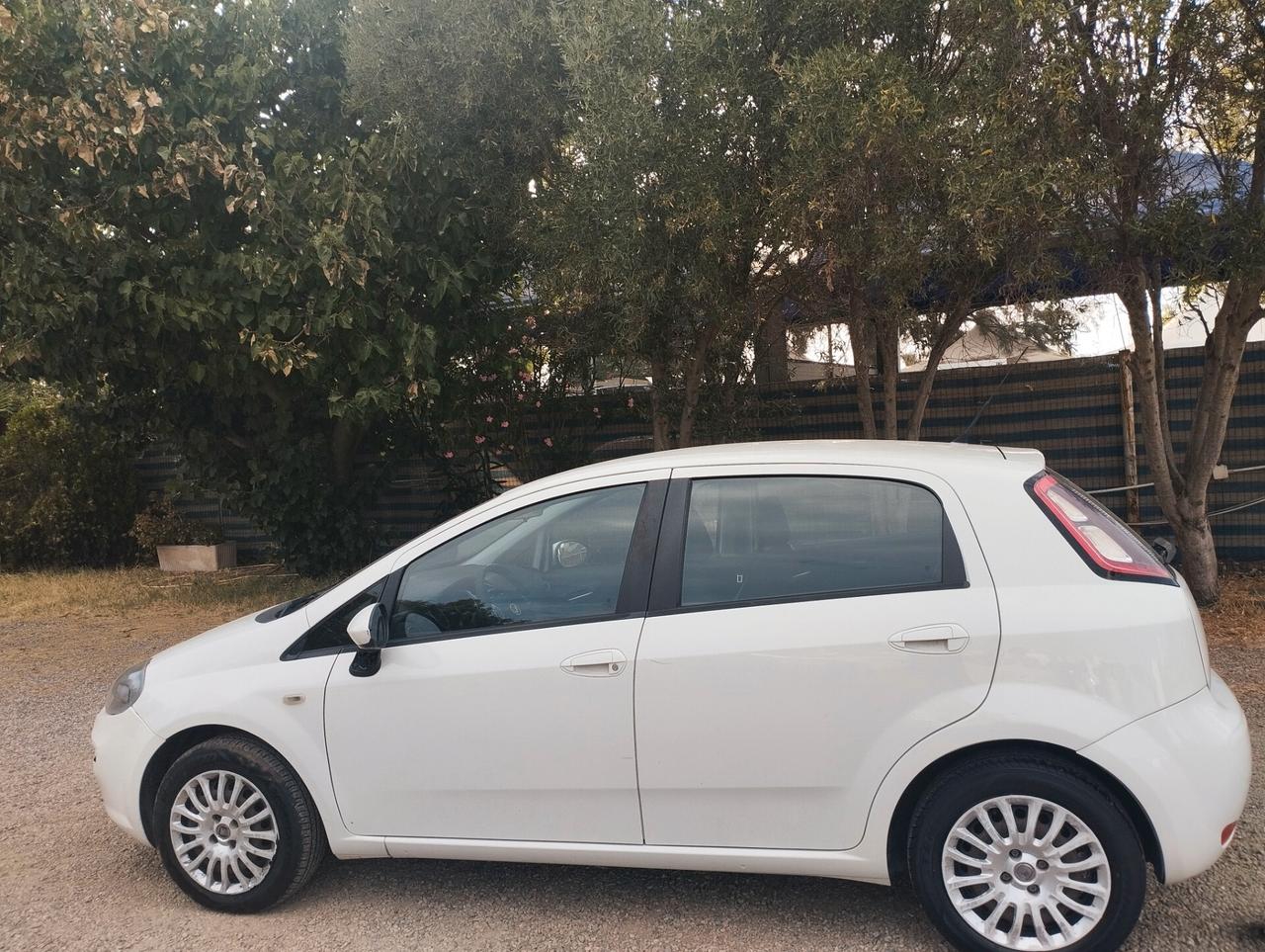 Fiat Punto 1.3 MJT II 75 CV 5 porte Street