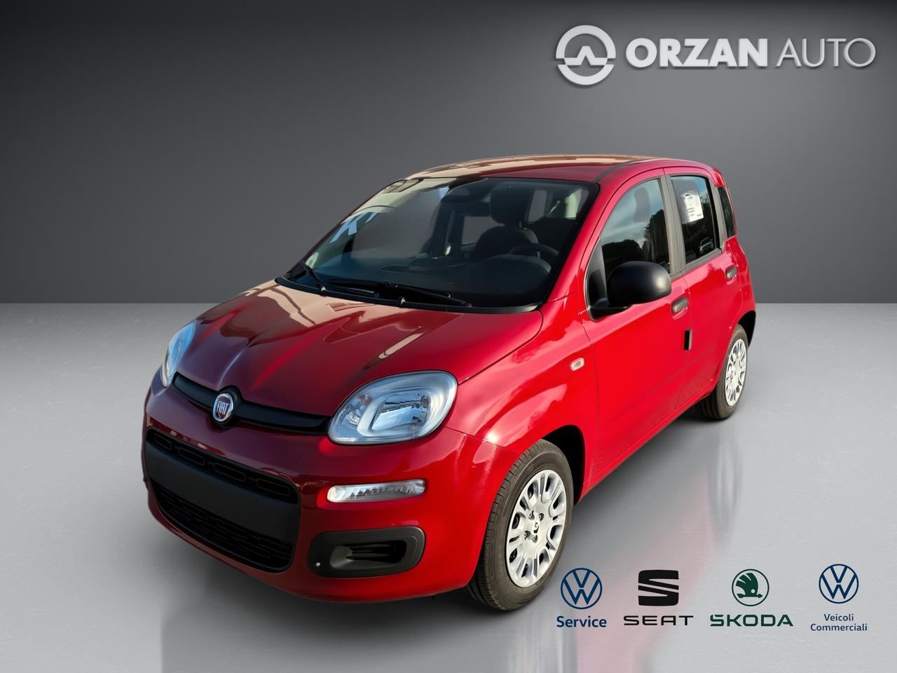 Fiat Panda 1.0 FireFly S&S Hybrid Icon CELL VENDITE 3491558563 - 3478673115