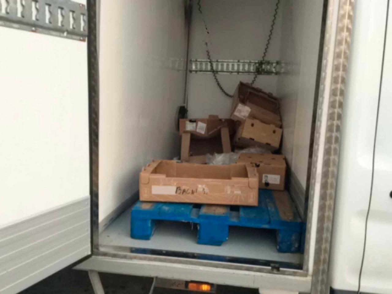 FORD TRANSIT 2.0tdci 170cv FRIGO CON PARATIA