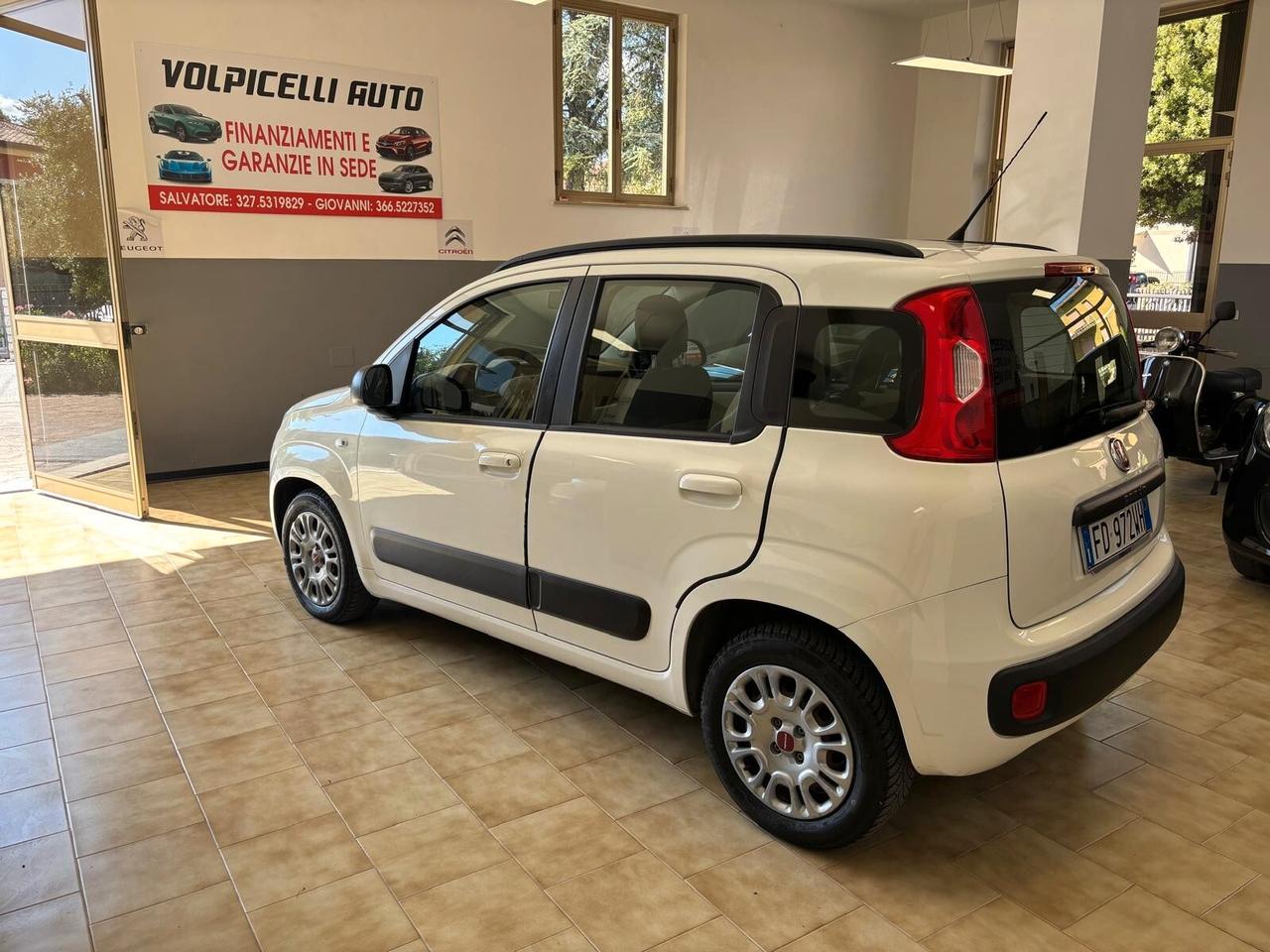 FIAT PANDA ANNO 2016 BZ 1.2 ADATTA NEOPATENTATI KM 140 MILA