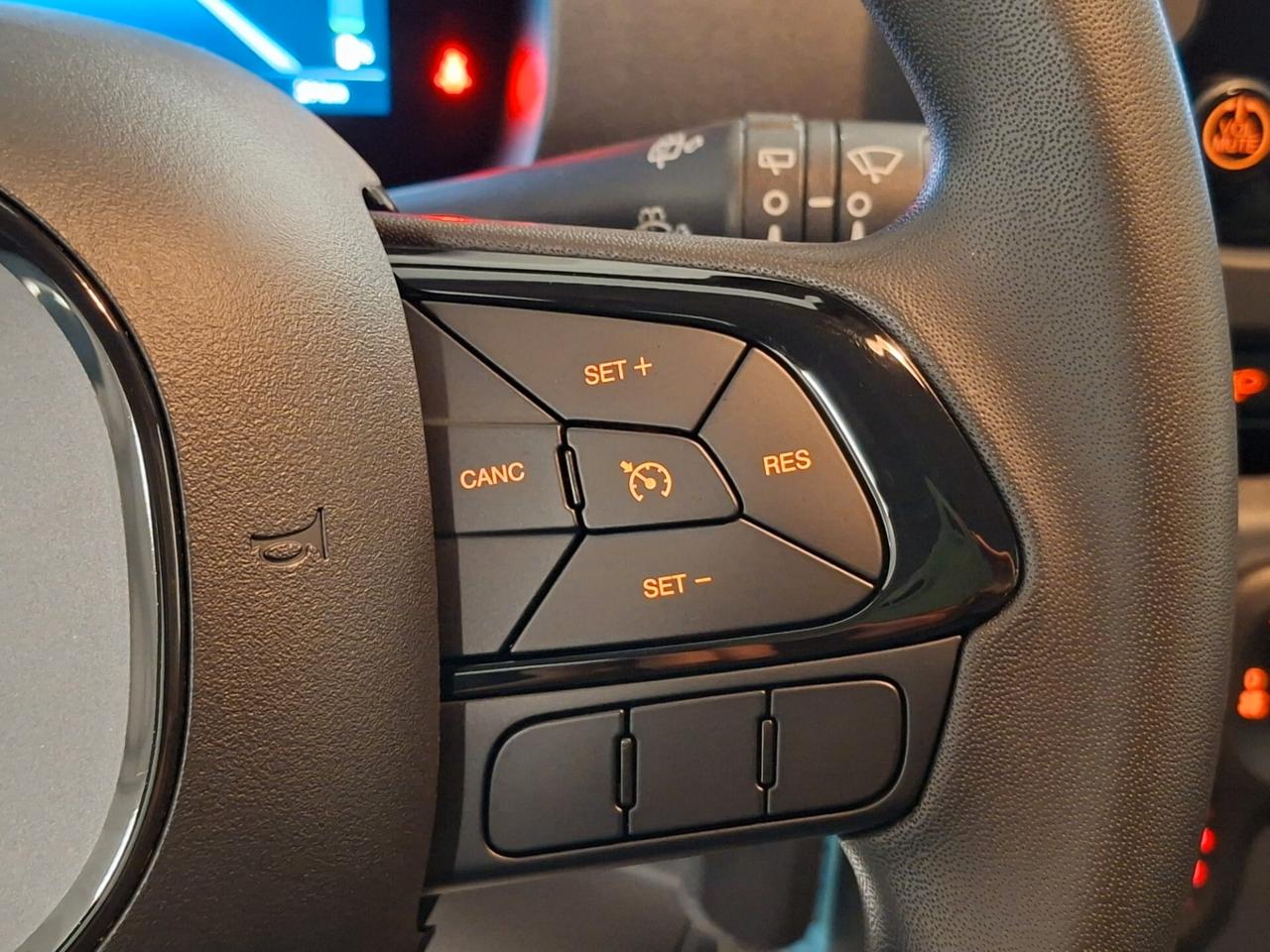 Fiat Panda 1.0 FireFly Hybrid 70CV Icon Km.0 (296)