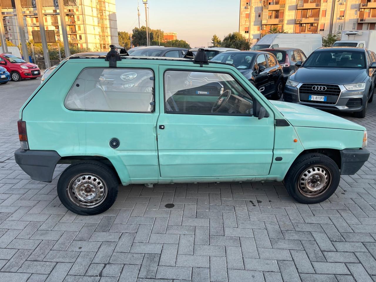 Fiat Panda 900 i.e. cat Young