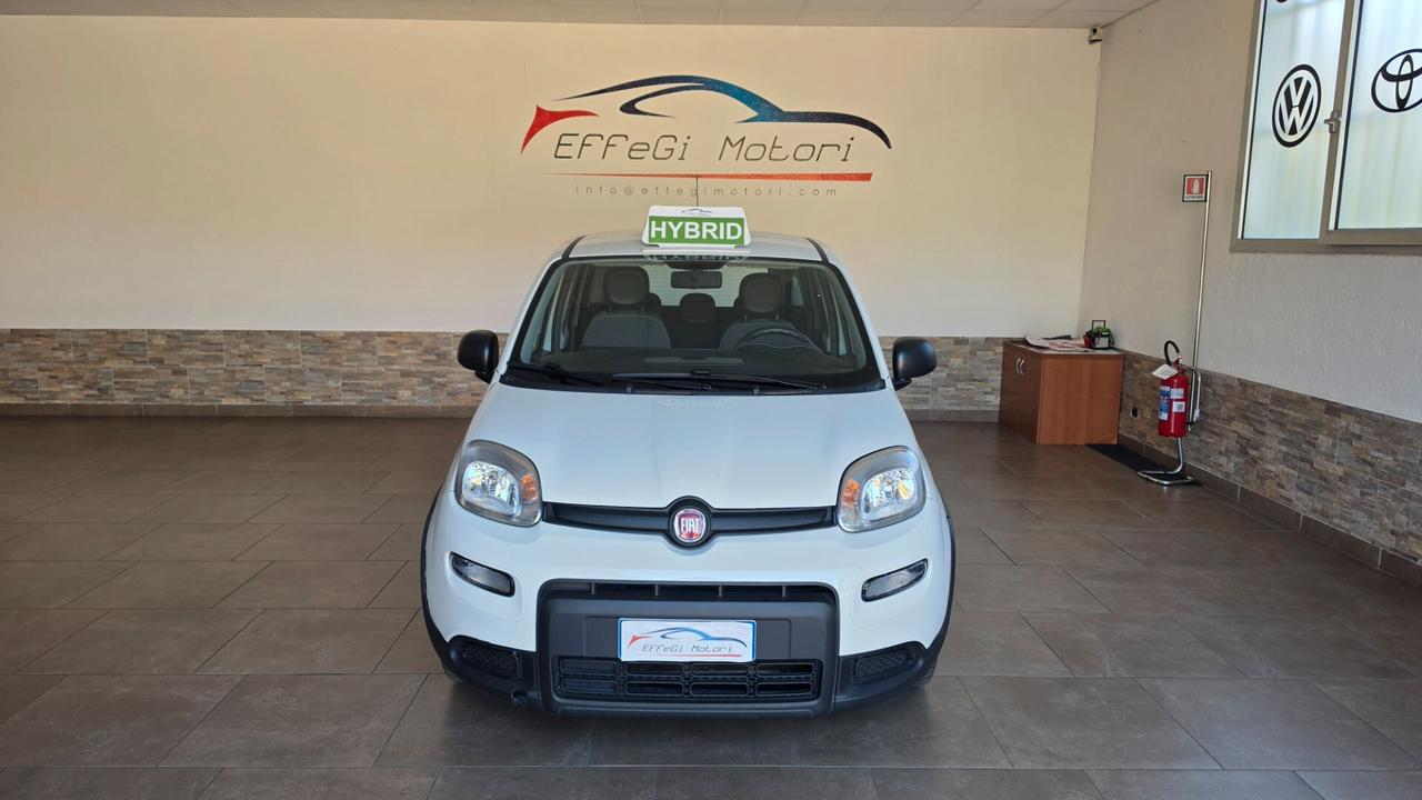 Fiat Panda Hybrid Firefly 69cv