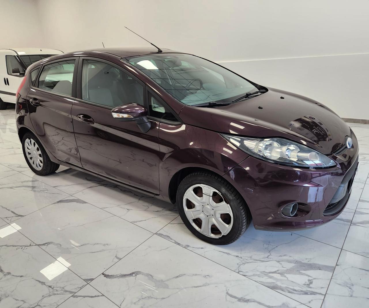 Ford Fiesta 1.4 TDCi 68CV 5 porte Titanium