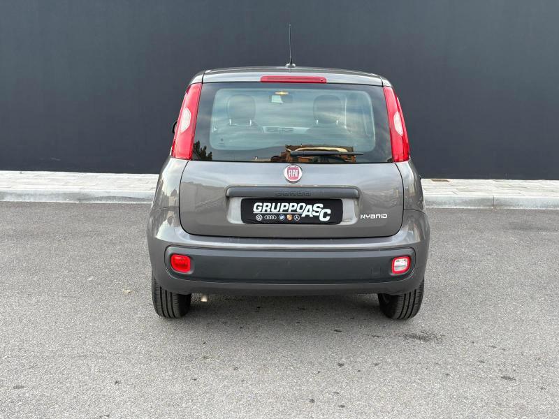 Fiat Panda 1.0 firefly hybrid s&s 70cv ADATTA A NEOPATENTATI