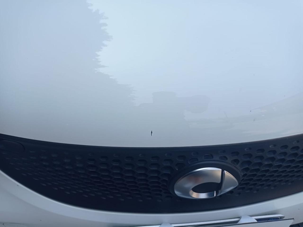 Smart ForFour Proxy 1.0  #5829