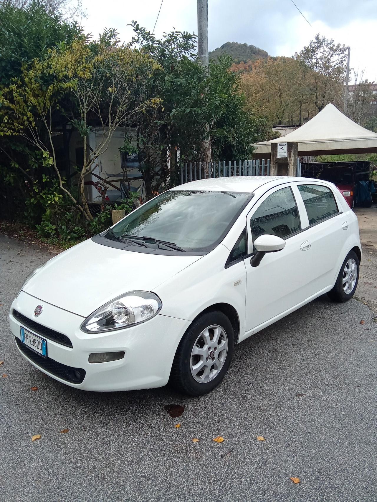 Fiat Punto 1.3 MJT 80cc Van Easy 4 posti 017