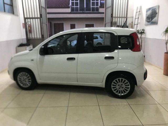 FIAT Panda 1.0 FireFly S&S Hybrid Easy