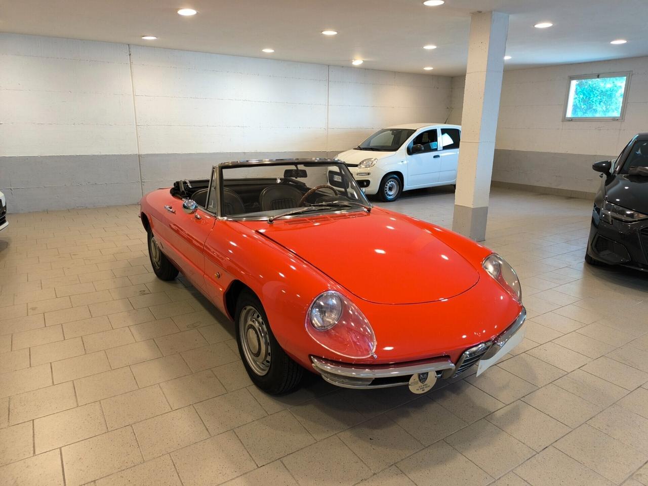 Alfa Romeo Spider